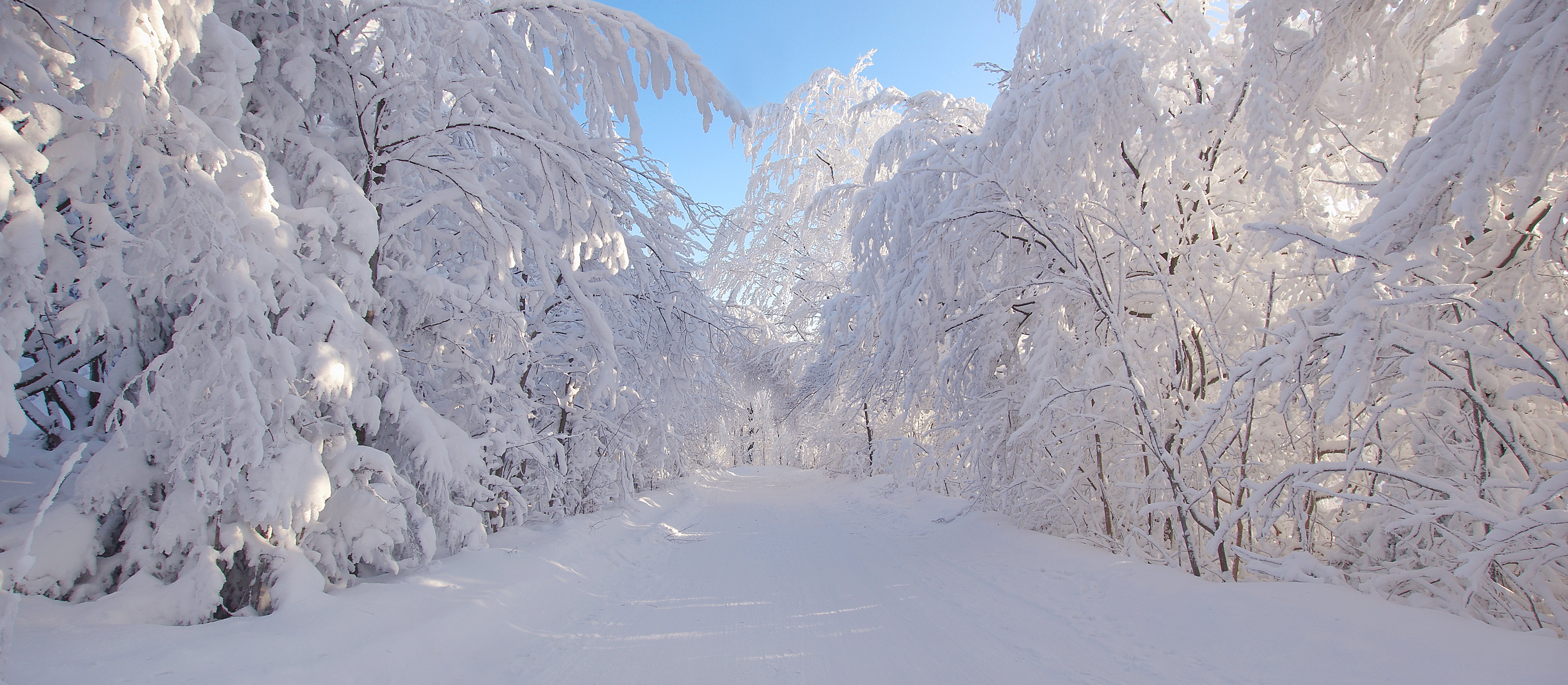 Kiedy wypada pierwszy dzień zimy? Są aż trzy daty