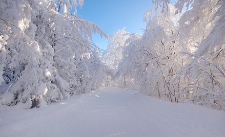 Kiedy wypada pierwszy dzień zimy?
