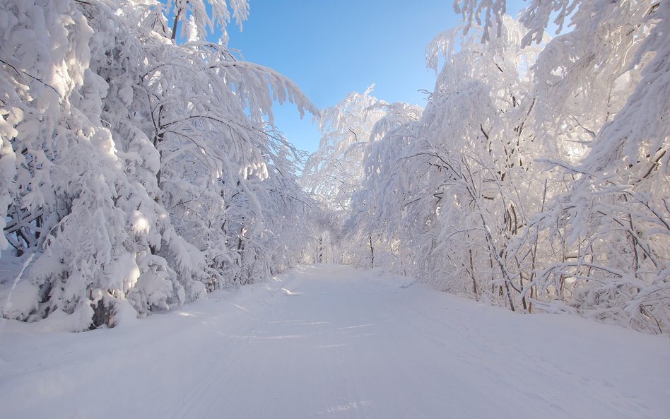 Kiedy wypada pierwszy dzień zimy?