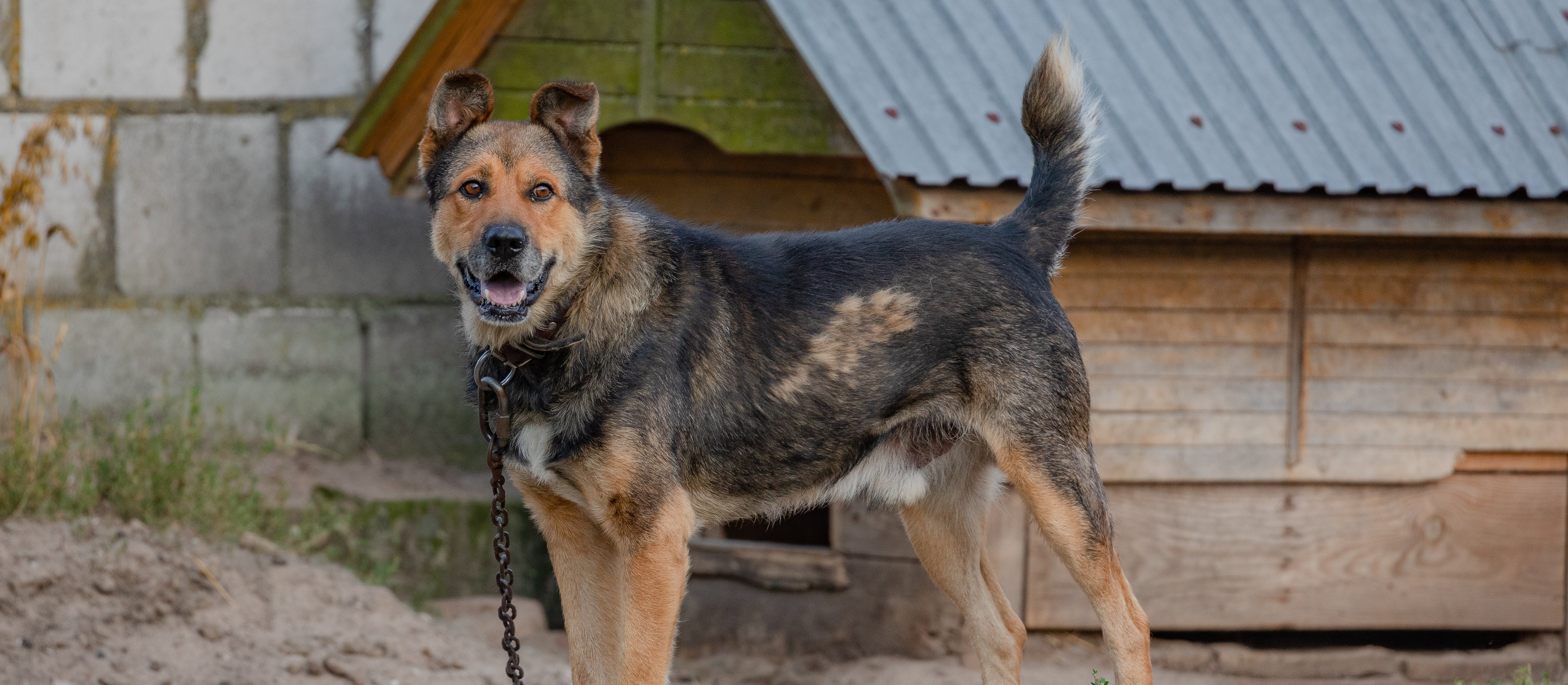 Karol Nawrocki zawetował tzw. ustawę łańcuchową. Wiemy, jak oceniają to Polacy