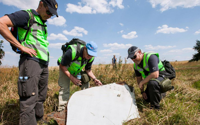 MH17: Odrzucono wniosek o zbadanie innych wariantów katastrofy