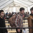 26 odesłanych przez Pakistan imigrantów wróci do Grecji