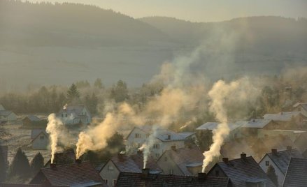 Główną przyczyną smogu, zwłaszcza zimą, jest używanie w domach słabej jakości paliwa do ogrzewania