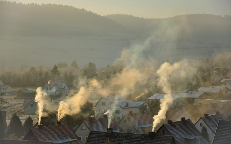 Główną przyczyną smogu, zwłaszcza zimą, jest używanie w domach słabej jakości paliwa do ogrzewania