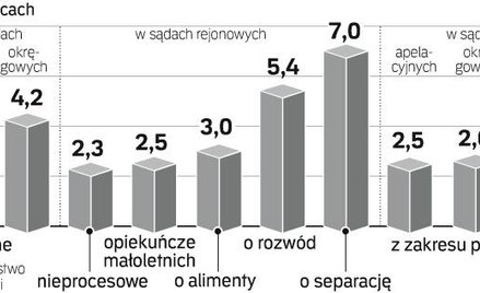 Postępowanie gospodarcze nie tak sprawne jak zakładano