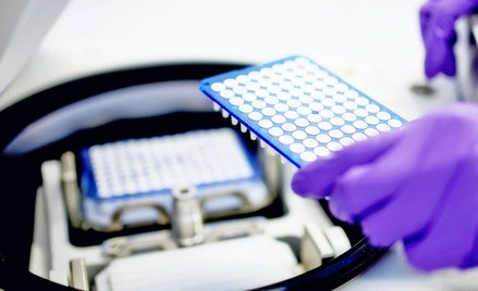Genomtec chce dopieścić akcjonariuszy