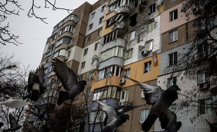 W wyzwolonym Chersoniu znaleziono salę tortur przeznaczoną dla dzieci