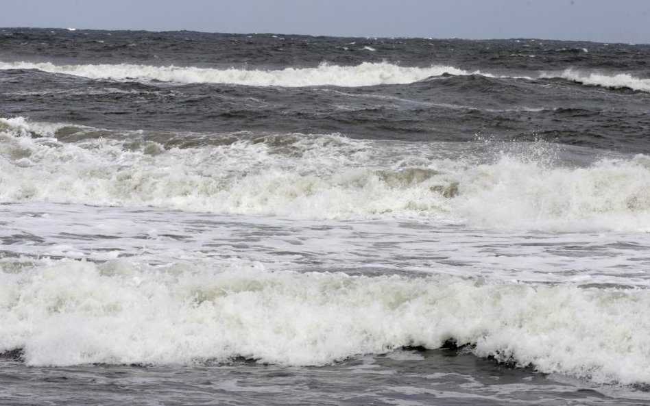 Nieznane organizmy w oceanie