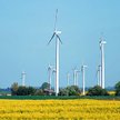 EBOR premiuje inwestycje m.in w produkcję energii z odnawialnych źródeł