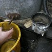 Nielegalny alkohol ze Wschodu zagraża Polsce