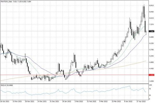 Notowania gazu ziemnego w USA – dane dzienne