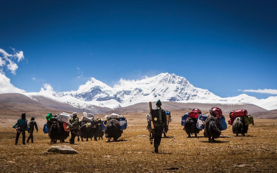 Shishapangma Ski Challenge fot. Marcin Kin