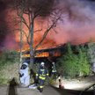 Niemcy: Pożar małpiarni w zoo. Wszystkie zwierzęta zginęły