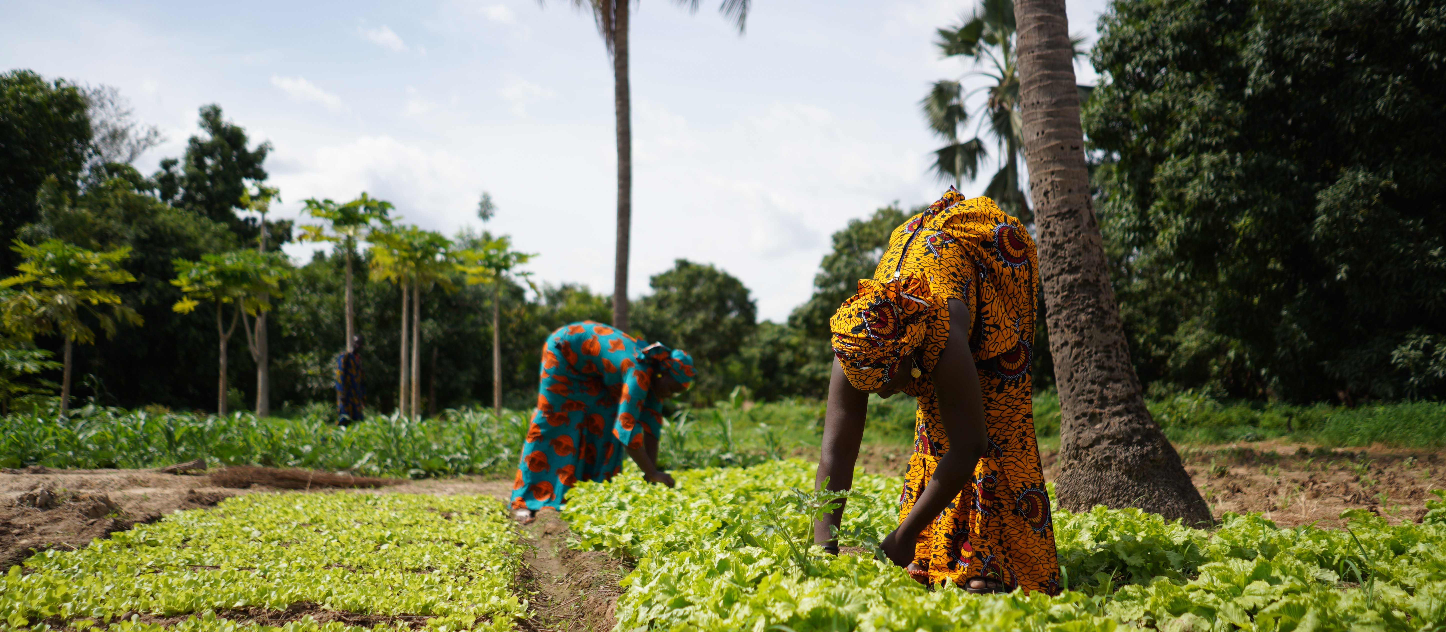 Afrykański sen Pekinu