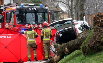 Wichury w Polsce. Silny podmuch wiatru na zakopiańskiej Olczy powalił drzewo na samochód, którym jec