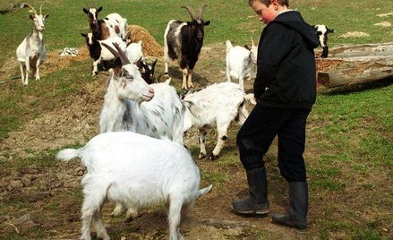 "Nie rusz, Andziu"...