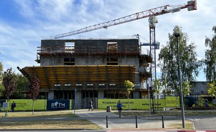 Michał Kijewski: Dobrymi chęciami piekło wybrukowane