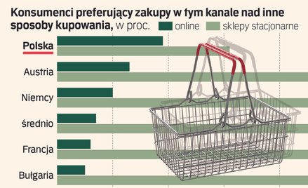 Polacy pokochali zakupy w internecie. Inne kraje w tyle