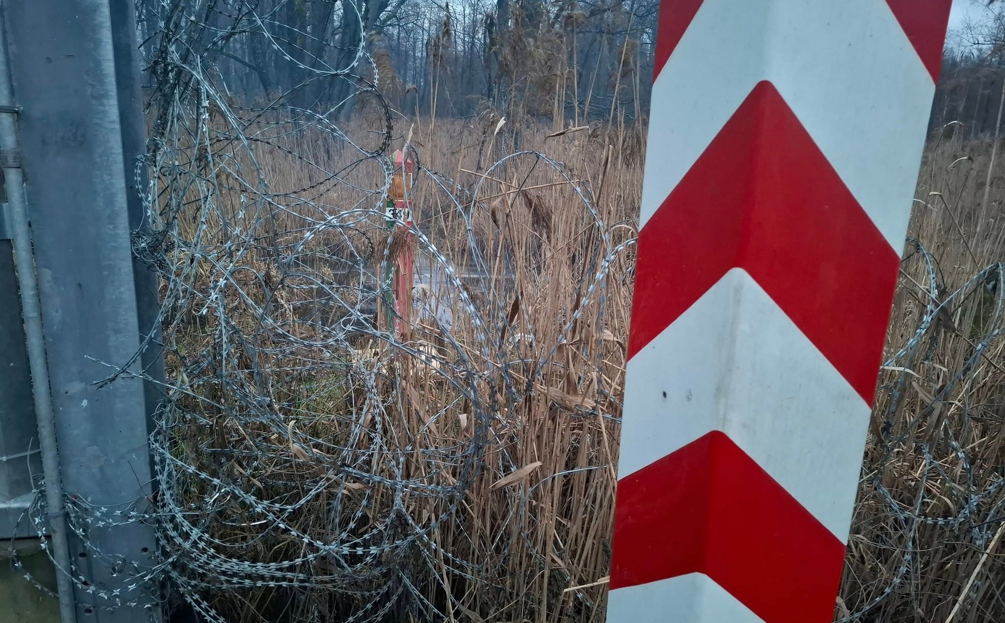 Strzały w Mielniku. Zakończona obserwacja psychiatryczna wojskowego. Co z drugim żołnierzem