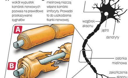 Między genami i naturą