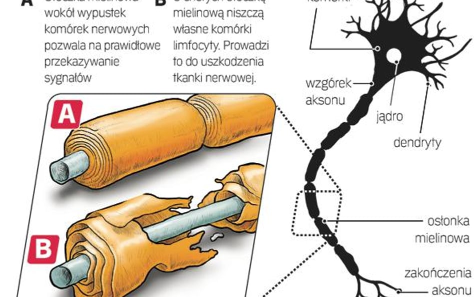 Między genami i naturą