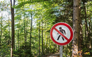 RPO: zakazy wchodzenia do lasu bez podstawy prawnej