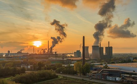 5 obywateli pozywa państwo polskie ws. katastrofy klimatycznej