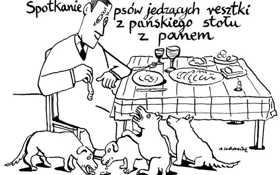 Komentarz rysunkowy. Spotkanie psów