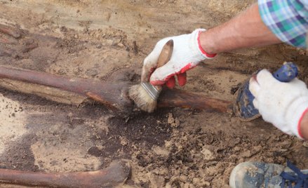 Powstała Polska Baza Genetyczna