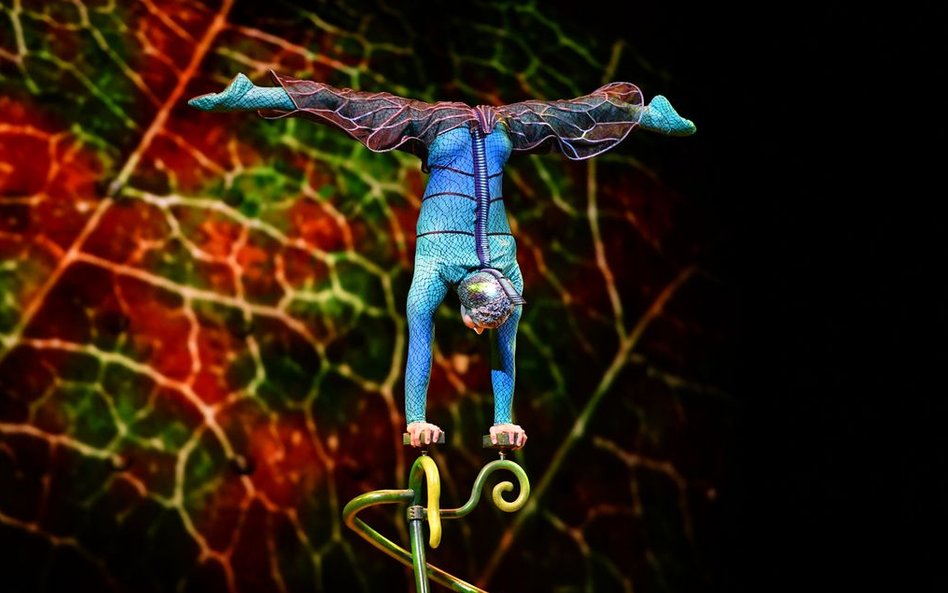 Kanadyjski cyrk nowego typu zbudował swoją legendę, odrzucając tresurę zwierząt i całkowicie koncent