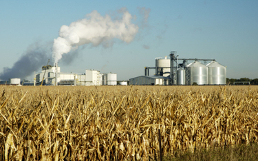 Alternatywa benzyny, odnawialne paliwo z kukurydzy wcale nie jest ekologiczne
