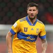 Andre-Pierre Gignac - tygrys nr 1