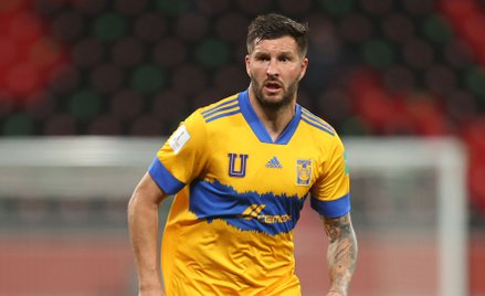 Andre-Pierre Gignac - tygrys nr 1