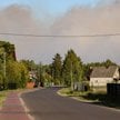 Pożar lasu we wsi Międzyleś w powiecie wołomińskim