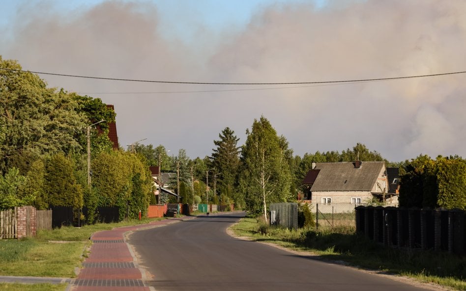 Pożar lasu we wsi Międzyleś w powiecie wołomińskim