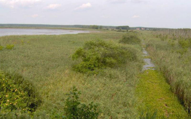 Dziś jezioro Świdwie jest objęte rezerwatem przyrody