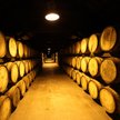 Do beczek trafiło ok. 2800 litrów trunku.