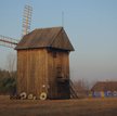 Wiatrak kożlak, fot. M. Bartosiewicz