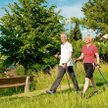 Hajnówka przyciąga zwolenników nordic walkingu.