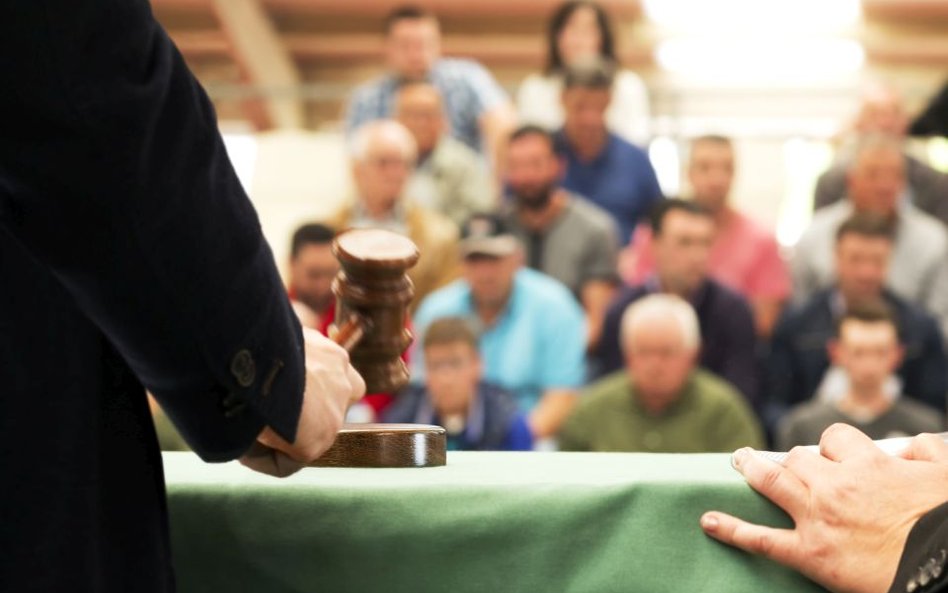 Na tej aukcji do książki dodadzą dżem z ranczo Mrożka
