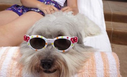 Jak zostać celebrytą