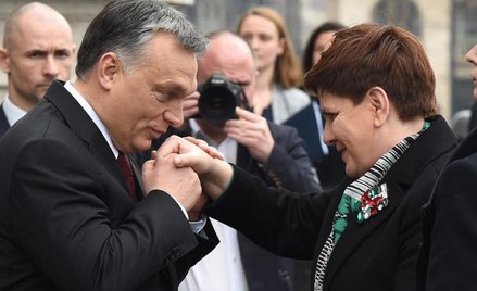 Polsko-węgierska grupa w polskim Sejmie