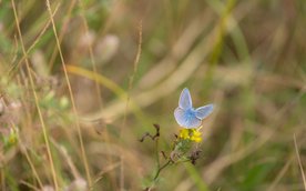 Głosowanie online trwa od 1 do 30 sierpnia