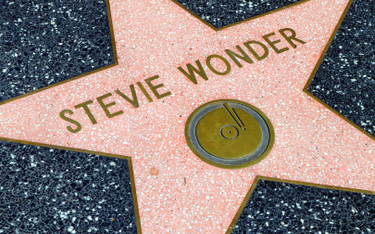 Stevie Wonder powraca po 15 latach