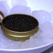 Kuchnia+: Kawior posypany złotem