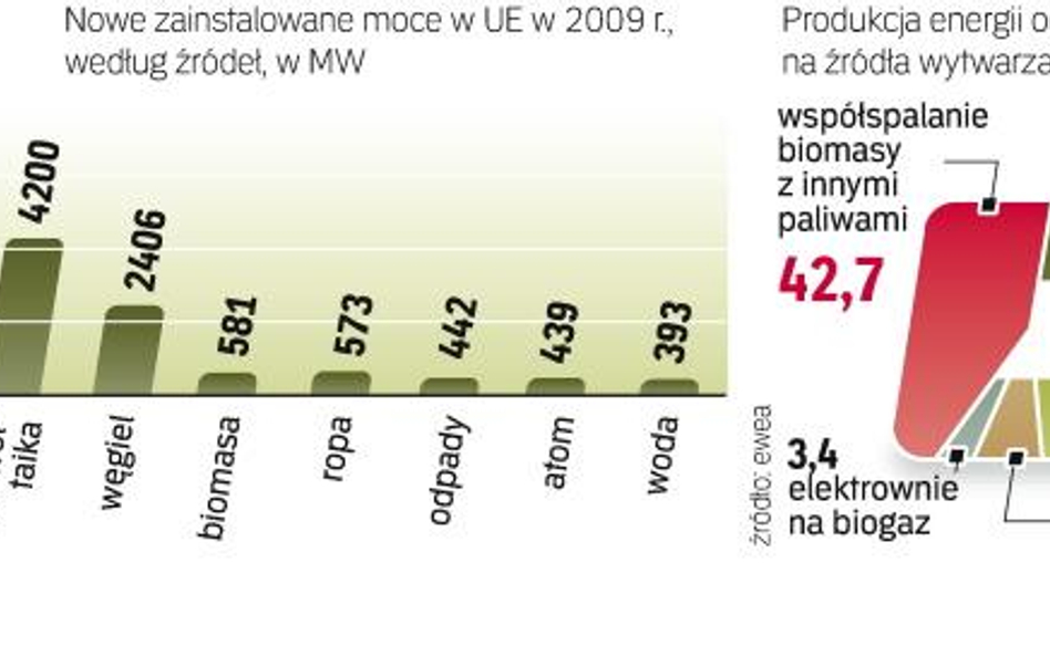 W 2009 r. odnawialne źródła energii stanowiły aż 61 proc. nowych mocy w Unii Europejskiej. Najszybci