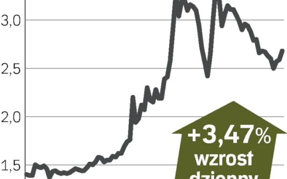 Optimus: akcje drożeją na giełdzie