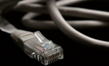 Końcówka RJ 45 kabla sieciowego