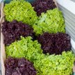 Supermarkety w Wielkiej Brytanii racjonują… sałatę