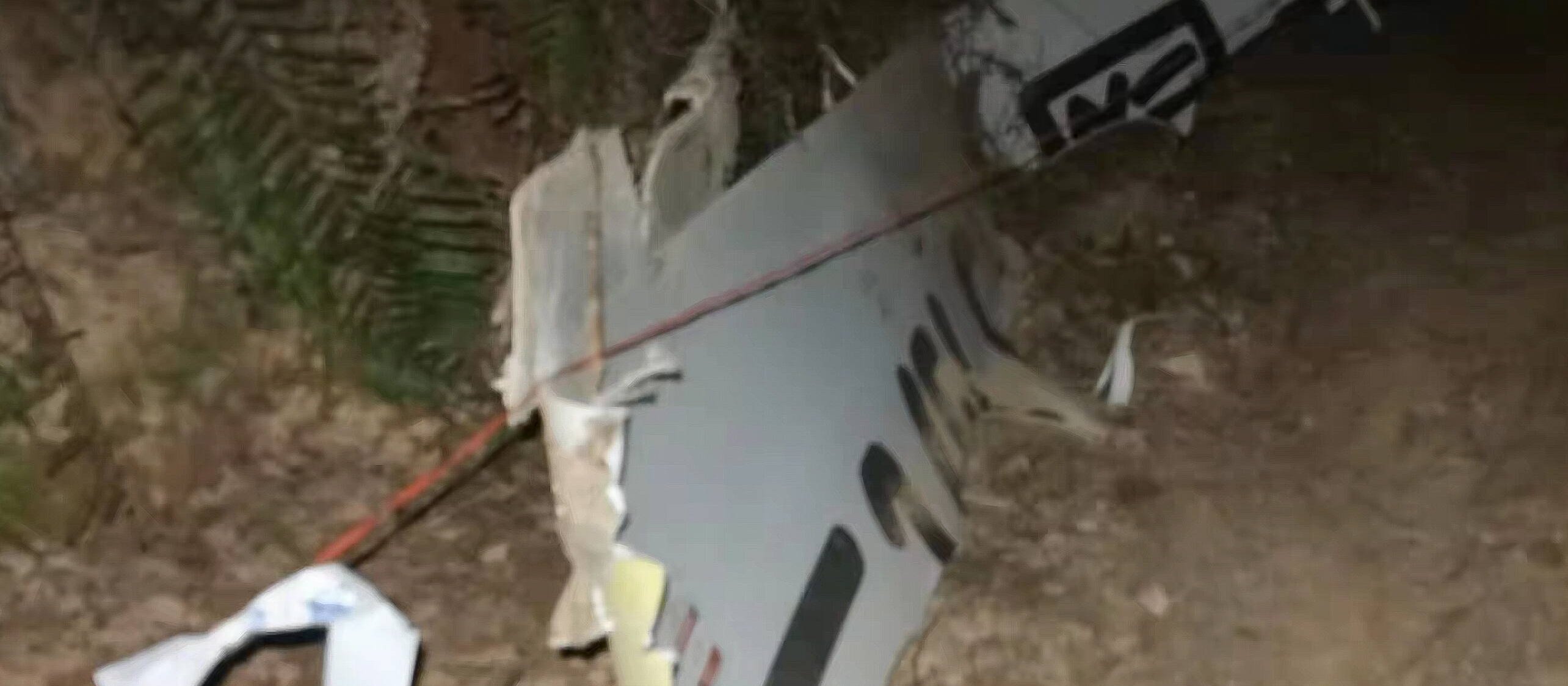 New data on the plane crash in China. "It was a conscious decision"